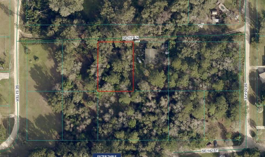 This is an aerial map showing a rectangular plot of land outlined in red — 00 SE 141 LANE, SUMMERFIELD, FL