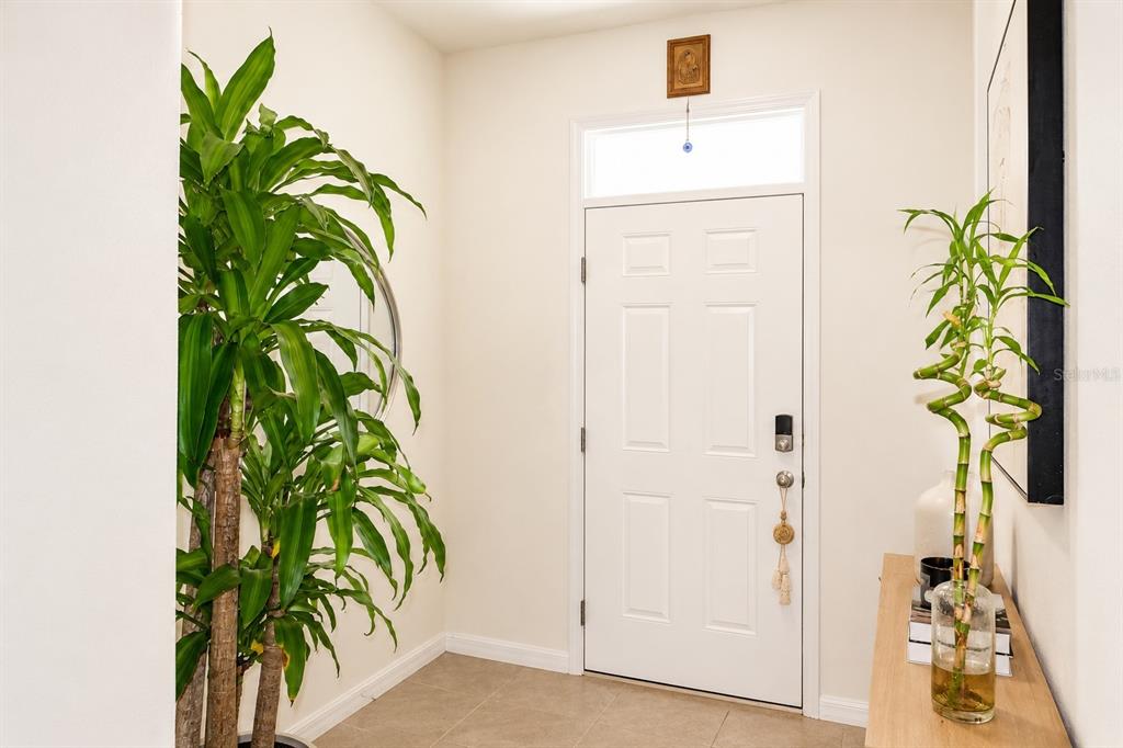An entryway features a white front door, a large potted plant, and a console table — 2238 TAY WES DRIVE, ST CLOUD, FL