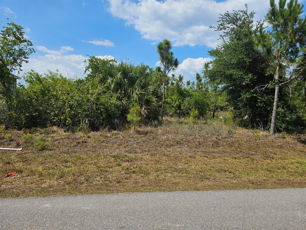 A vacant, wooded residential lot sits behind a paved road under a blue sky — 15723 STUART CIRCLE, PORT CHARLOTTE, FL