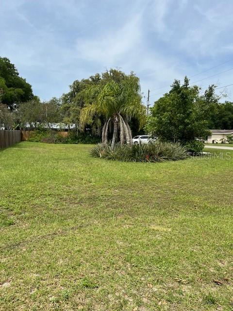 A grassy vacant lot features a central palm tree surrounded by low-lying landscaping — 4741 18TH STREET, ZEPHYRHILLS, FL