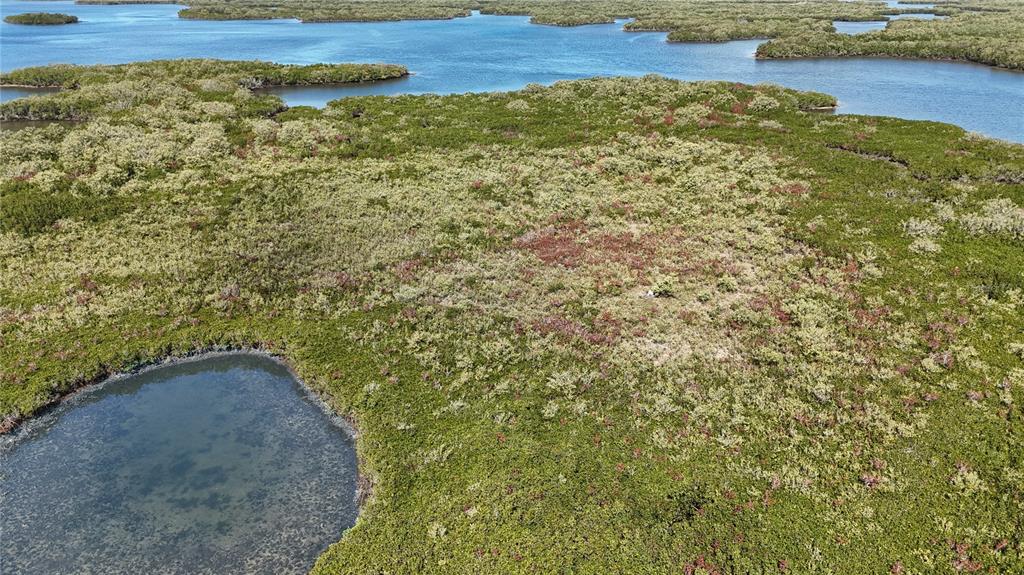 An aerial view of a coastal landscape featuring dense mangrove vegetation and small tidal pools — 15410 W ST MARTINS ROAD, CRYSTAL RIVER, FL