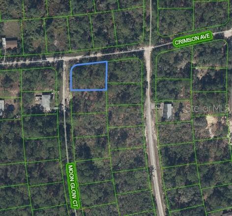This is an aerial map showing a vacant, rectangular lot outlined in blue near a road — 233 MOON GLOW COURT, LAKE PLACID, FL