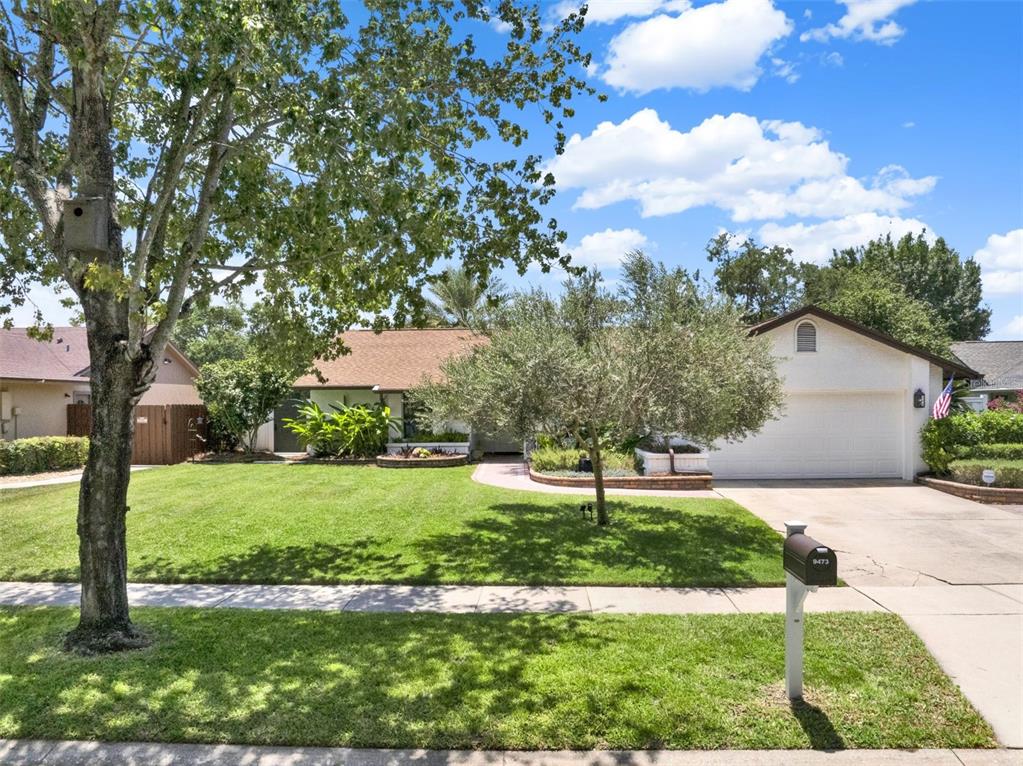 9473 PALM TREE DRIVE