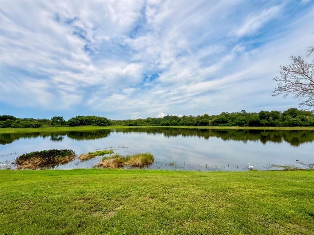 A grassy lawn slopes down to a calm pond surrounded by trees under a cloudy sky — 3133 RIACHUELO LANE, KISSIMMEE, FL