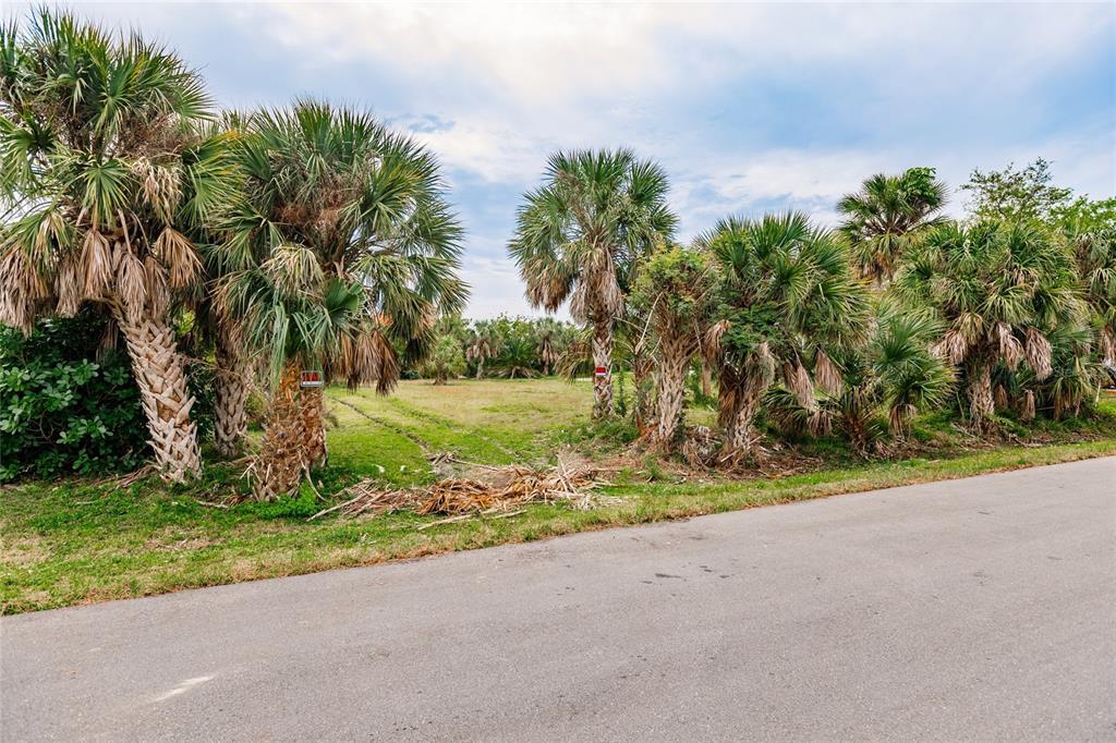 A vacant, grassy lot is bordered by palm trees and a paved road — 24169 JOLLY ROGER BOULEVARD, PUNTA GORDA, FL