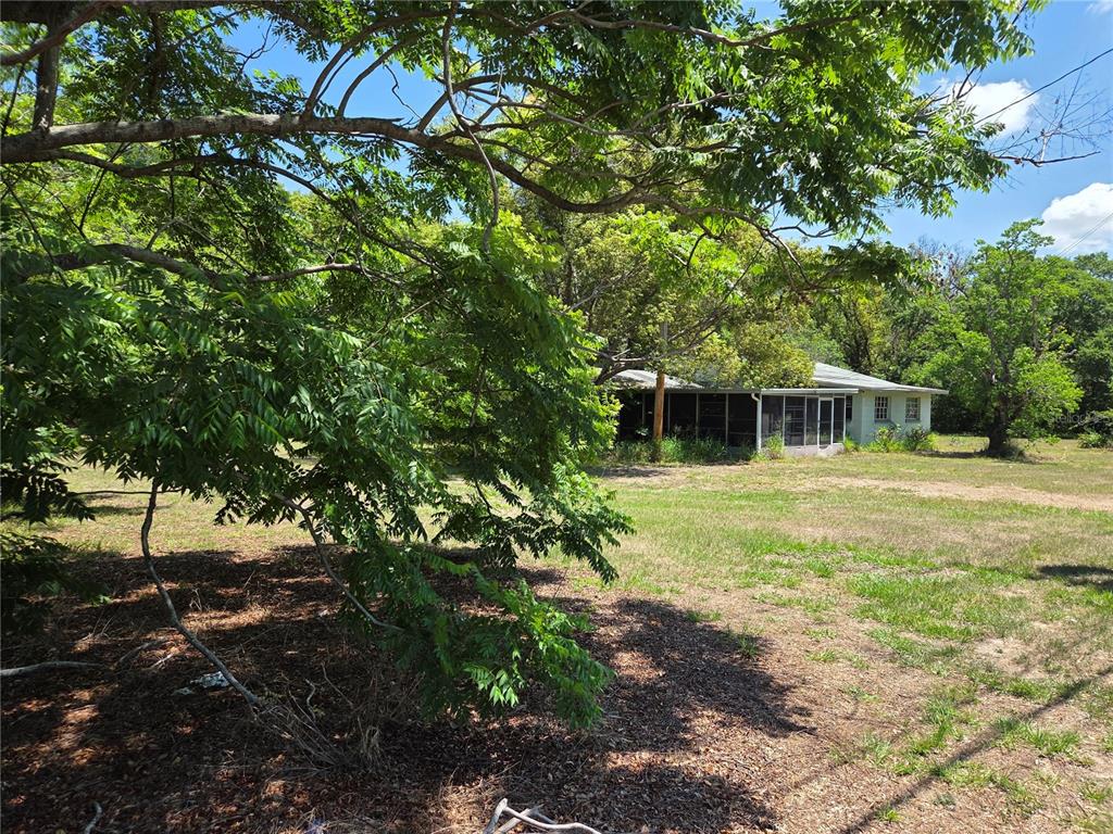 A single-story house with a screened-in porch sits on a large, tree-shaded grassy lot — 3810 E LUMSDEN ROAD, VALRICO, FL