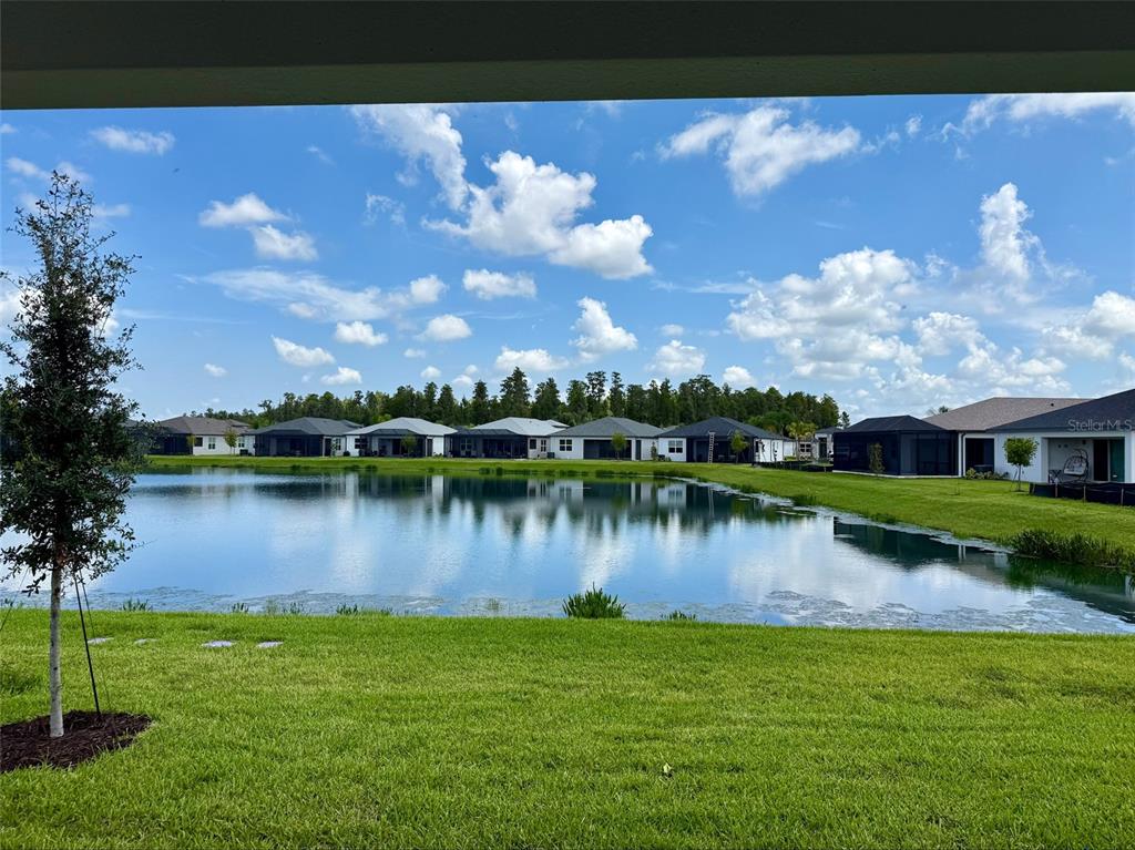 A view of a pond behind a grassy lawn with several houses in the background — 3419 MALTA AVENUE, WESLEY CHAPEL, FL
