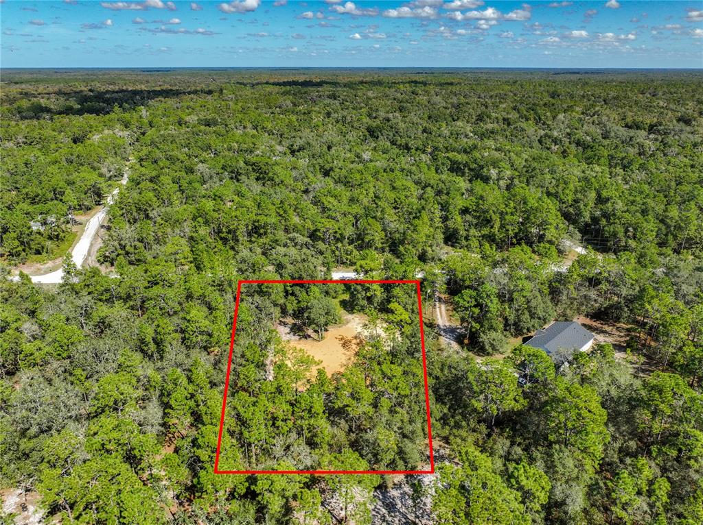 An aerial view shows a rectangular plot of land cleared within a dense forest — 33216 TEAKWOOD DRIVE, WEBSTER, FL