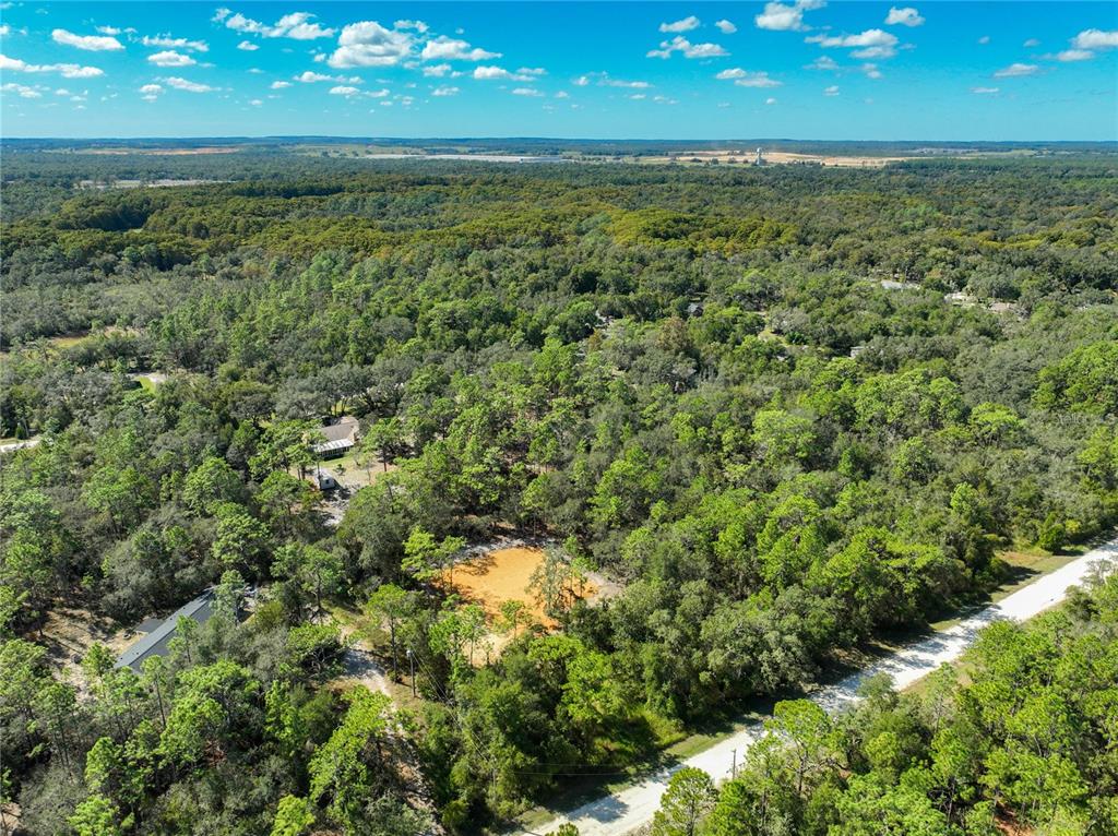 An aerial view shows a wooded lot with a cleared sandy area and a dirt road — 33216 TEAKWOOD DRIVE, WEBSTER, FL