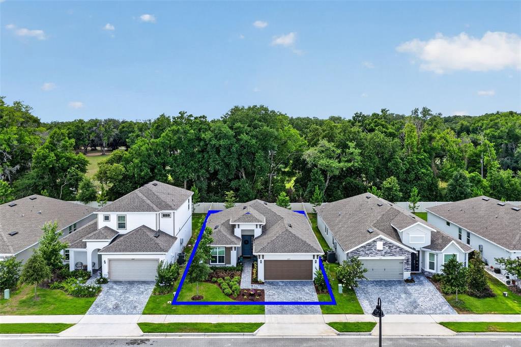An aerial view shows a single-story suburban house with a paved driveway and blue outline — 2289 SIRENA LANE, MOUNT DORA, FL