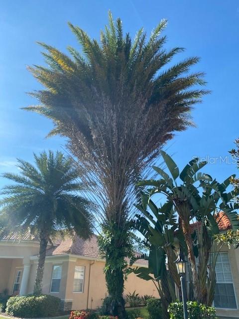 A tall palm tree stands in front of a house with a tan exterior — 5570 ROCK DOVE DRIVE, SARASOTA, FL