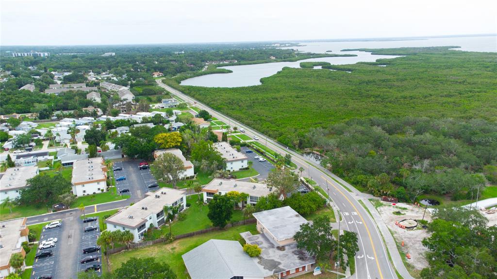 An aerial view shows apartment buildings, a parking lot, and a road bordering a forest — 389 S MCMULLEN BOOTH ROAD UNIT 12, CLEARWATER, FL