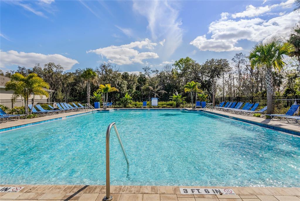 A rectangular outdoor swimming pool is surrounded by lounge chairs and palm trees — 3526 FORSTER AVENUE, LEESBURG, FL