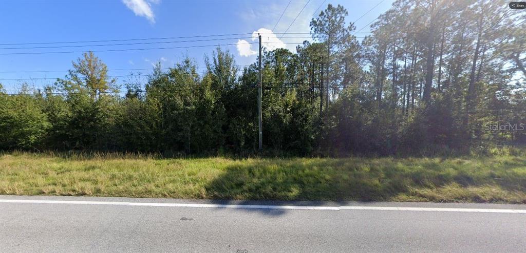 A utility pole stands in front of a dense line of trees bordering a paved road — OLD GRADE RD, POLK CITY, FL