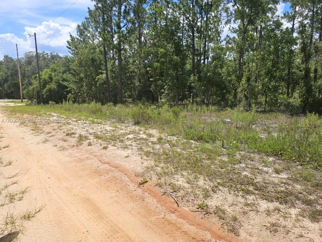 A dirt road runs alongside a vacant, wooded lot with sandy ground and tall trees — 136 Utah ST, Palatka FL 32640, PALATKA, FL