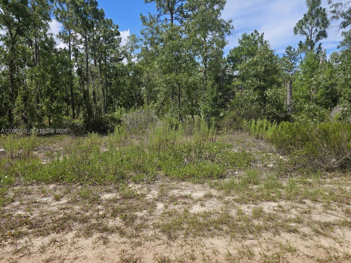 A view of a sandy, undeveloped lot with scattered vegetation and a dense forest background — 136 Utah ST, Palatka FL 32640, PALATKA, FL