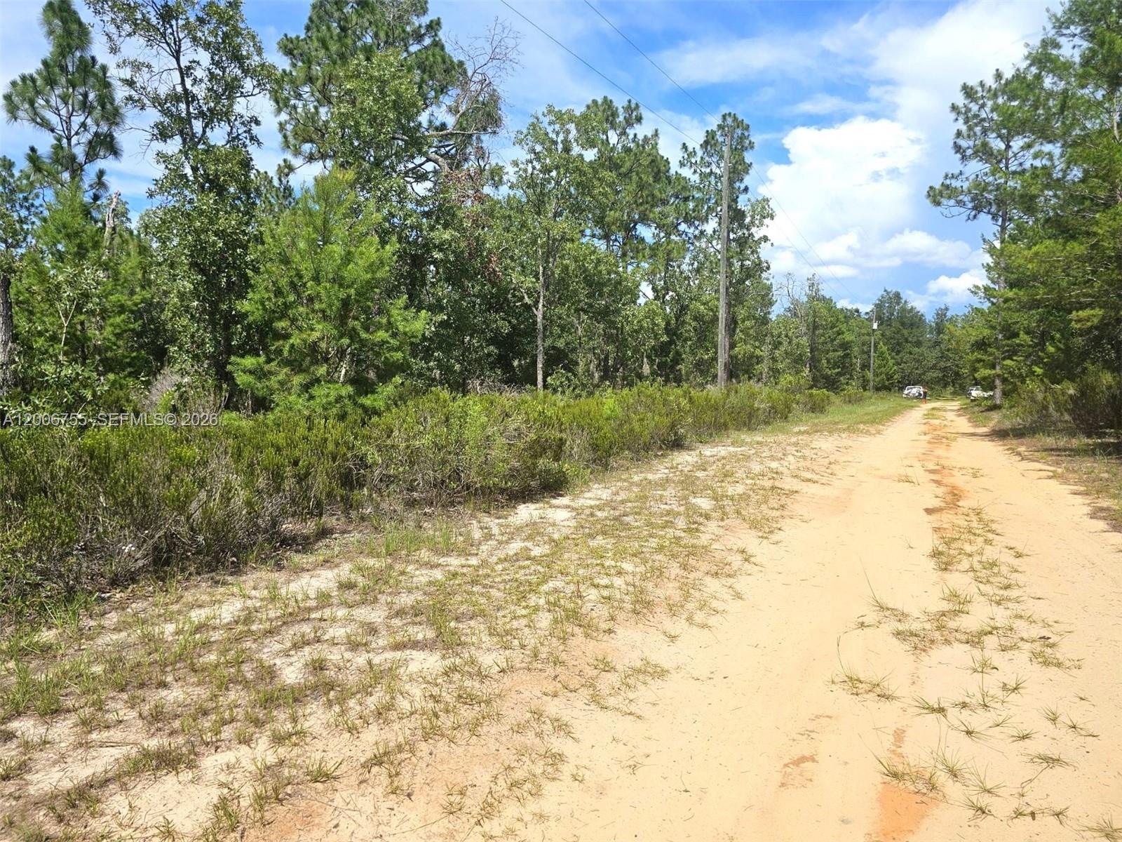 A dirt road runs alongside a wooded lot under a blue sky with clouds — 136 Utah ST, Palatka FL 32640, PALATKA, FL