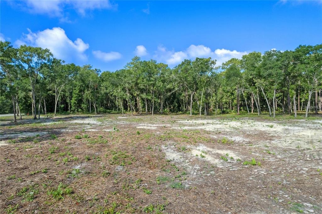29901 STATE ROAD 44, EUSTIS, FL — photo 2 of 24