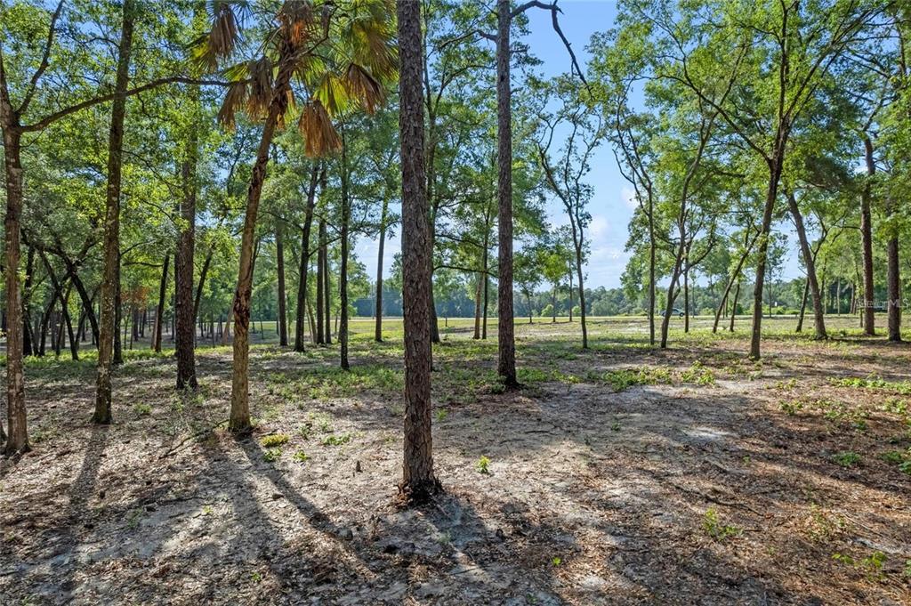 29901 STATE ROAD 44, EUSTIS, FL — photo 3 of 24