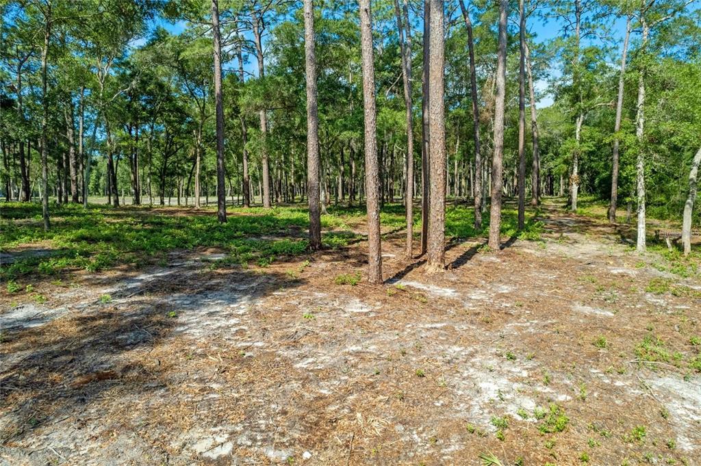 29901 STATE ROAD 44, EUSTIS, FL — photo 4 of 24