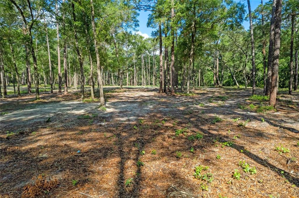 29901 STATE ROAD 44, EUSTIS, FL — photo 5 of 24