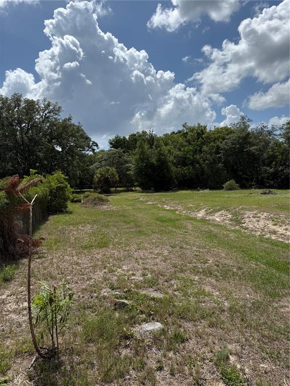 A grassy, partially cleared lot features scattered vegetation and a dense line of trees — ENKA WAY, ORLANDO, FL