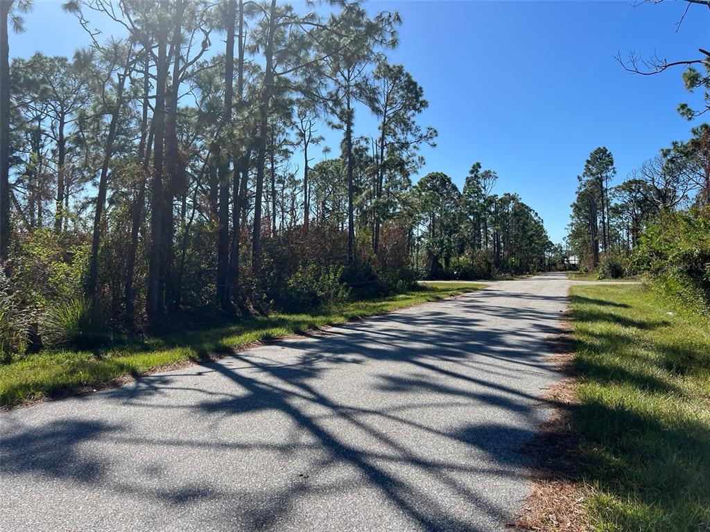 A paved road runs through a wooded area with tall pine trees under a clear sky — 7364 WALCOTT ROAD, PORT CHARLOTTE, FL