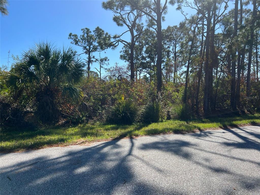 A paved road runs in front of a wooded lot with pine trees and palmettos — 7364 WALCOTT ROAD, PORT CHARLOTTE, FL