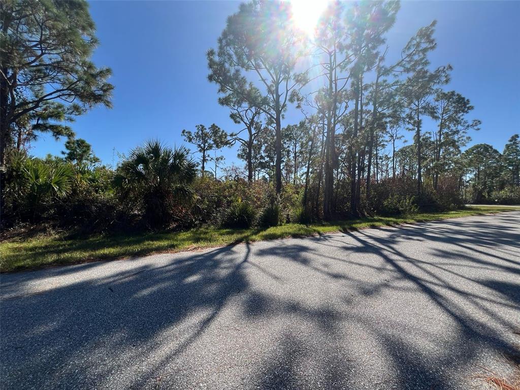 A paved road runs alongside a wooded lot with tall pine trees and dense vegetation — 7364 WALCOTT ROAD, PORT CHARLOTTE, FL