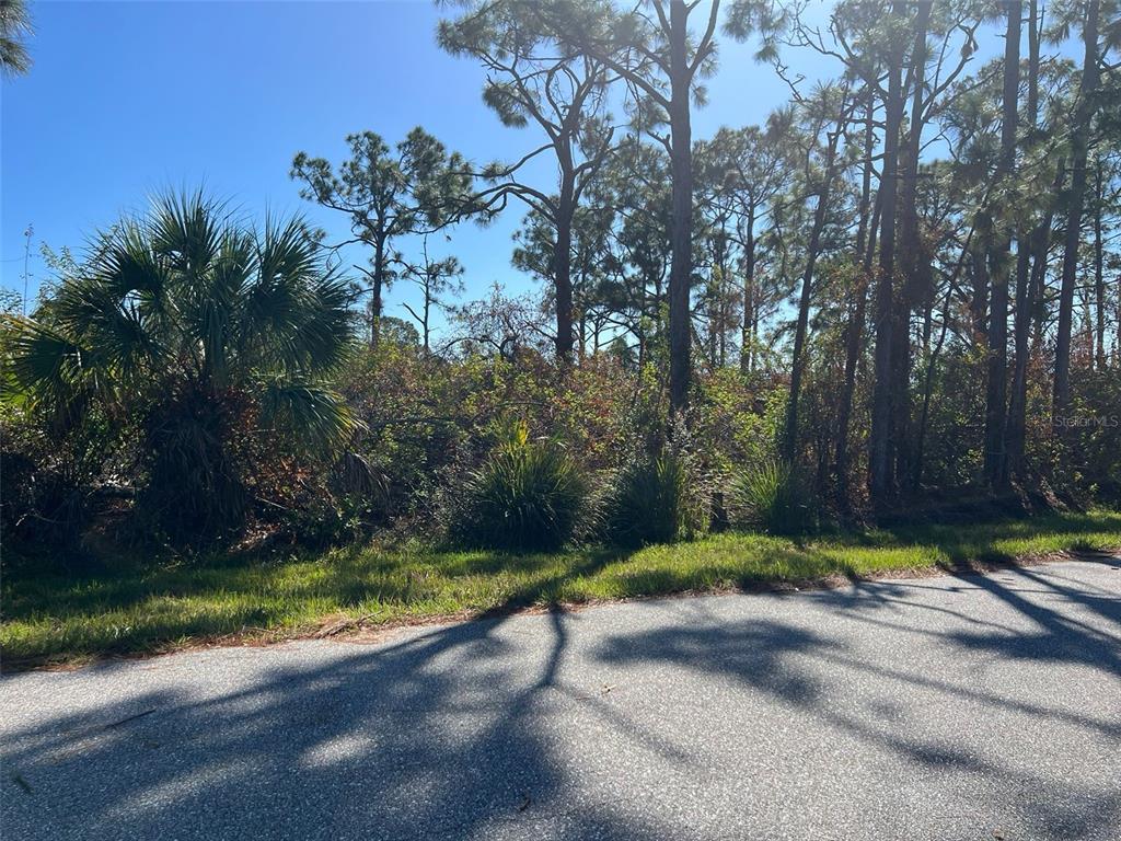 A paved road borders a wooded lot with pine trees, palmettos, and dense undergrowth — 7364 WALCOTT ROAD, PORT CHARLOTTE, FL