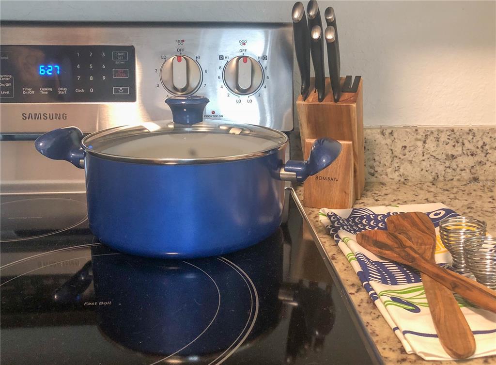 A blue pot sits on a black glass stovetop next to a wooden knife block — 621 MEHLENBACHER ROAD, BELLEAIR BLUFFS, FL