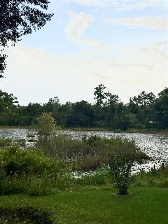 A grassy lawn overlooks a lake surrounded by trees and dense vegetation — 5756 NE 165TH TERRACE ROAD, SILVER SPRINGS, FL