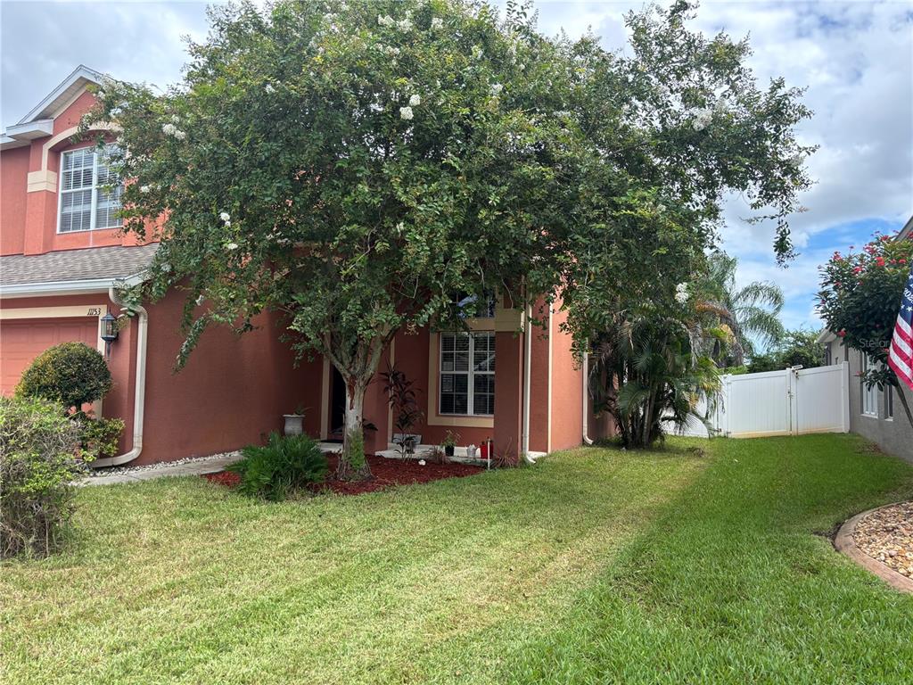 A two-story stucco house with a large flowering tree in the front yard — 11153 SHELTER COVE LOOP, NEW PORT RICHEY, FL