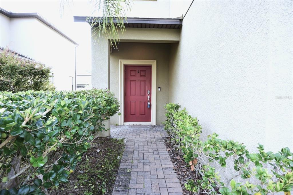 A brick walkway leads to a red front door framed by green hedges — 20028 SATIN LEAF AVENUE, TAMPA, FL