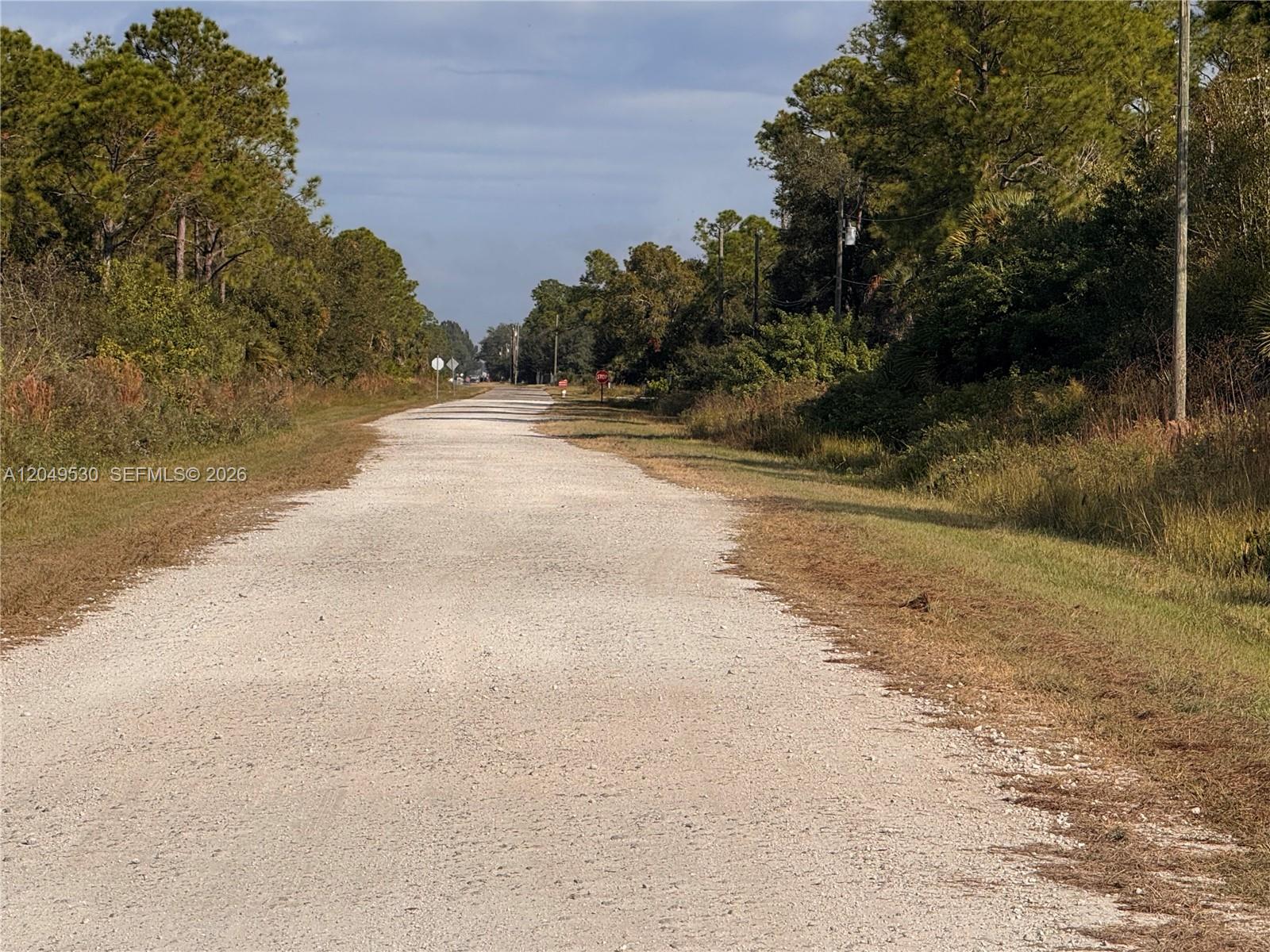 A gravel road stretches forward between wooded areas under a partly cloudy sky — 775 S Hacienda St, Clewiston FL 33440, CLEWISTON, FL