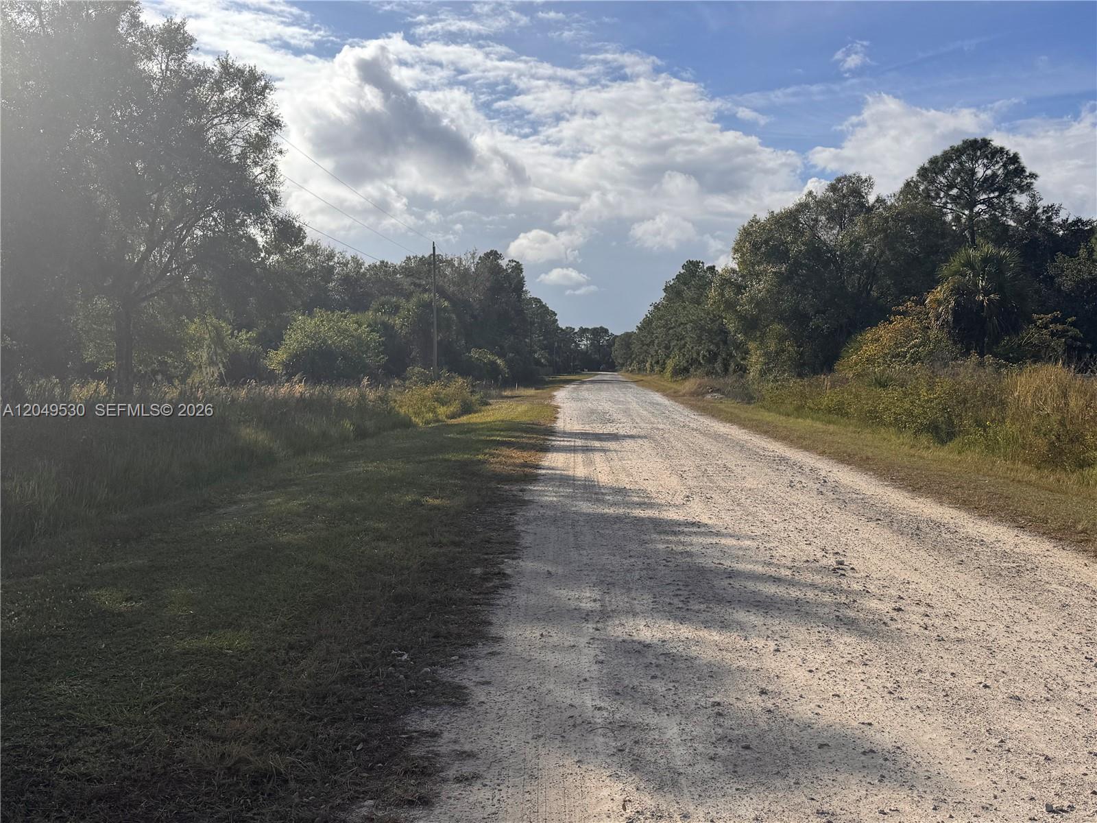 A gravel road stretches through a rural landscape lined with trees and tall grass — 775 S Hacienda St, Clewiston FL 33440, CLEWISTON, FL