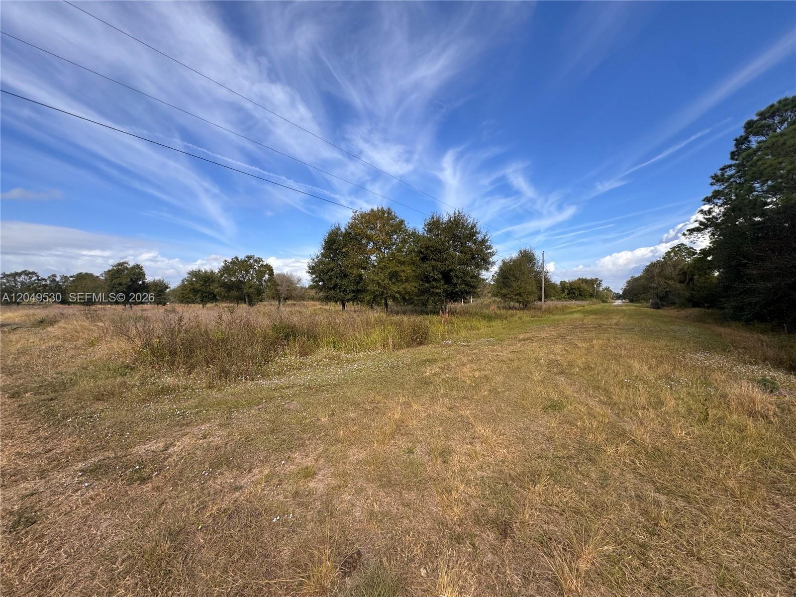 A wide, grassy field features scattered trees under a bright blue sky with wispy clouds — 775 S Hacienda St, Clewiston FL 33440, CLEWISTON, FL