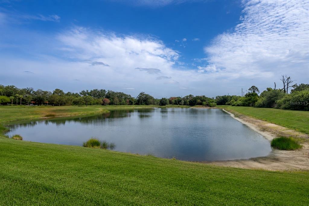A grassy hill slopes down to a pond surrounded by trees under a cloudy sky — 9310 BLUEBERRY ASH CIRCLE, RIVERVIEW, FL