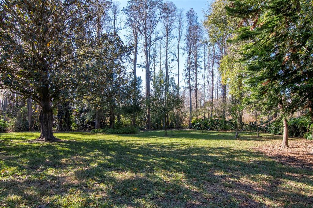 A grassy backyard features a large tree on the left and a wooded area behind — 18306 PLEASANT RIDGE PLACE, LUTZ, FL