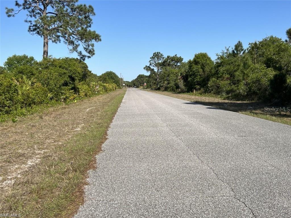 A paved road stretches into the distance, flanked by dense green trees and brush — 12069 ABRAMS AVENUE, PORT CHARLOTTE, FL