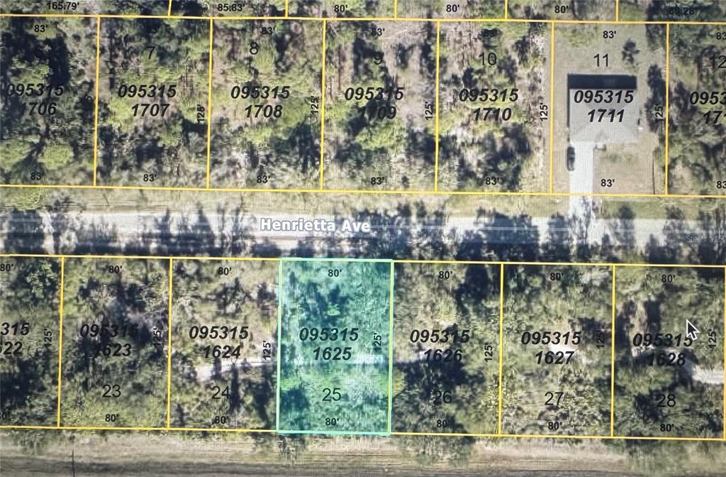 This is a map showing a highlighted rectangular plot of land among other lots — HENRIETTA AVENUE, NORTH PORT, FL
