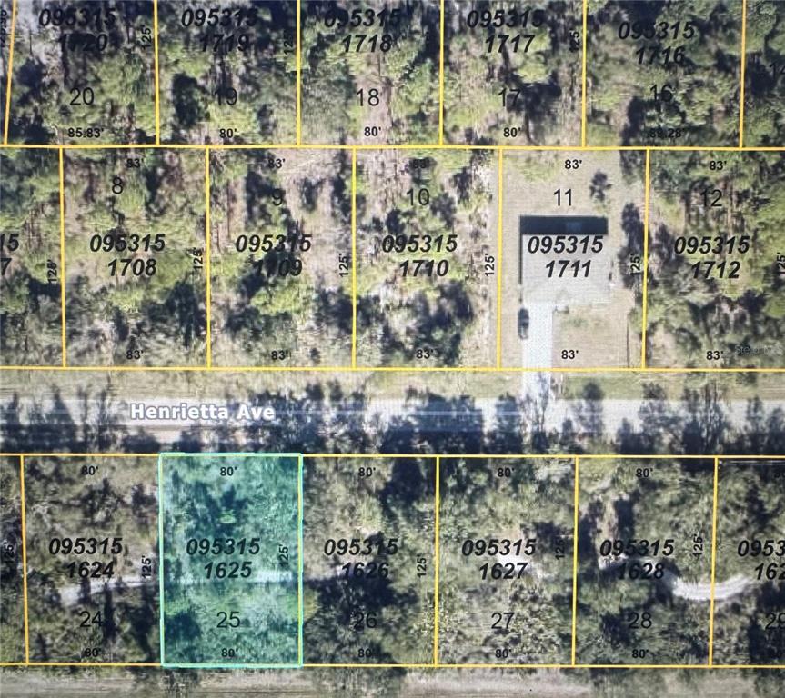 This is a satellite map view showing multiple rectangular land parcels and a paved road — HENRIETTA AVENUE, NORTH PORT, FL
