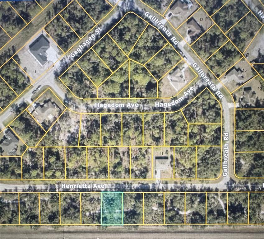 This is a satellite map showing a highlighted rectangular lot in a residential neighborhood — HENRIETTA AVENUE, NORTH PORT, FL