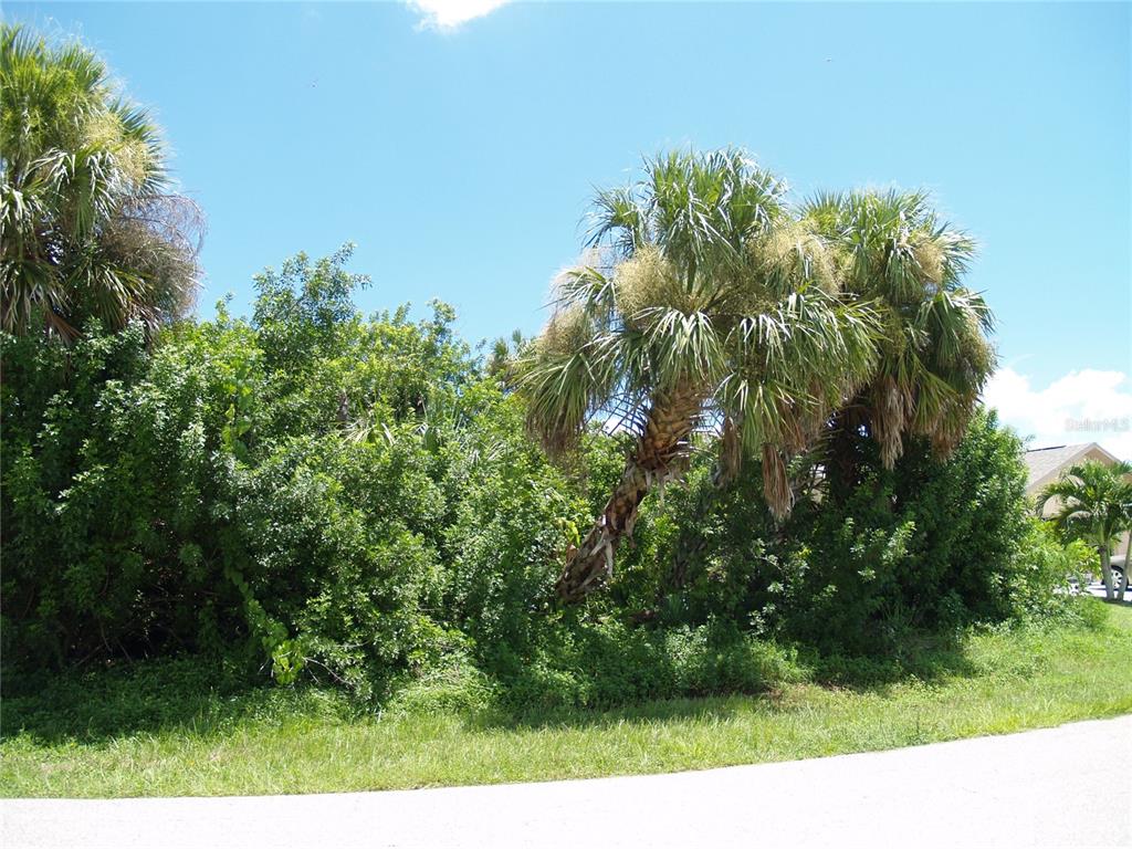 A palm tree stands in front of dense green vegetation next to a paved road — 18443 BRIGGS CIRCLE, PORT CHARLOTTE, FL
