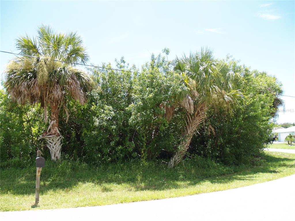 A vacant lot features two palm trees and dense green vegetation along a paved road — 18443 BRIGGS CIRCLE, PORT CHARLOTTE, FL