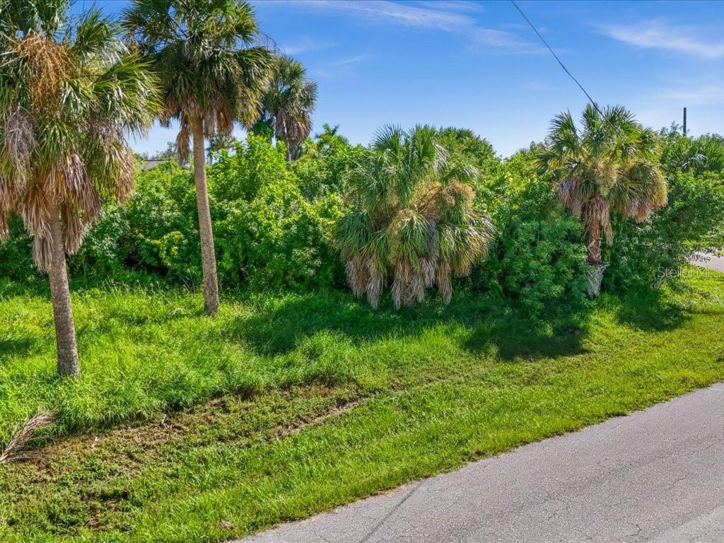 A grassy, vacant lot features several palm trees and dense green vegetation under a blue sky — 18443 BRIGGS CIRCLE, PORT CHARLOTTE, FL