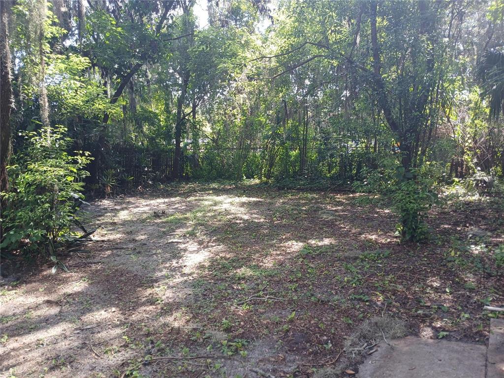 A shaded, dirt-covered backyard features scattered leaves and dense surrounding trees and vegetation — 2005 JEFFERSON AVENUE, SANFORD, FL