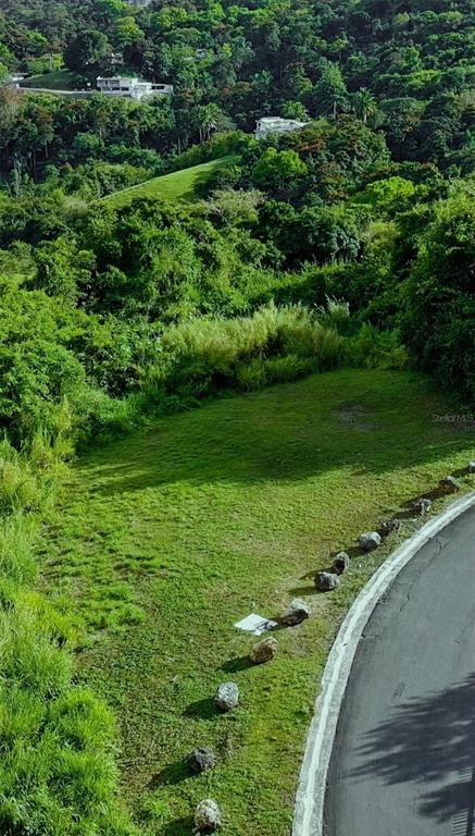 An elevated view shows a grassy, sloped lot bordered by a curved asphalt road — CARR 185 LOTE F BO CARRUZOS, CAROLINA, PR