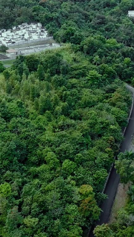 An aerial view shows a dense, wooded lot adjacent to a paved road and residential buildings — CARR 185 LOTE F BO CARRUZOS, CAROLINA, PR