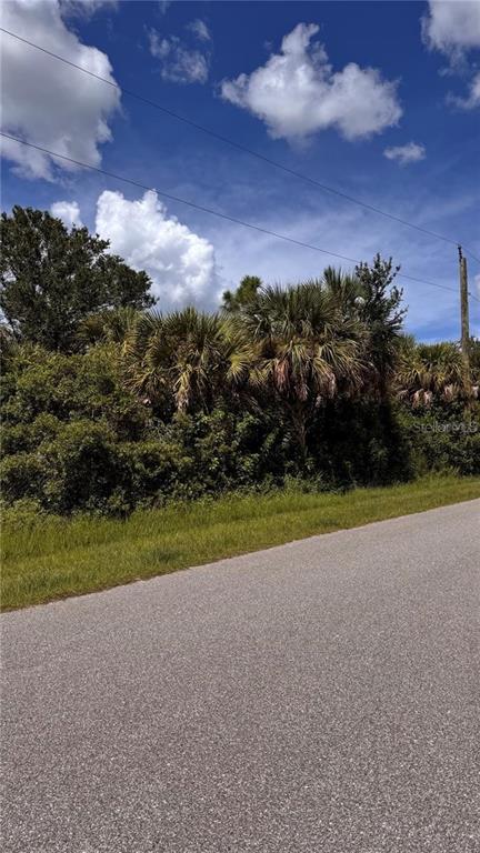 A paved road runs alongside a dense area of palm trees and overgrown vegetation — 13068 DOUBLEDAY AVENUE, PORT CHARLOTTE, FL